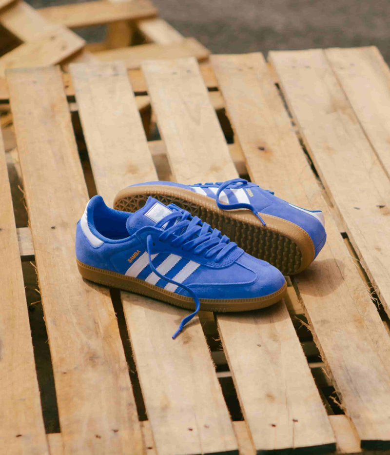 Adidas Samba ADV Shoes in Bluebird and Cloud White / Gold Metallic
