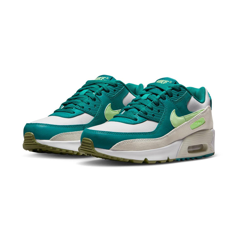 Air Max 90 LTR Big Kids’ Shoes
