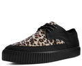 Black & Leopard Tie Pointed Lace Up EZC - T.U.K.A9418-03