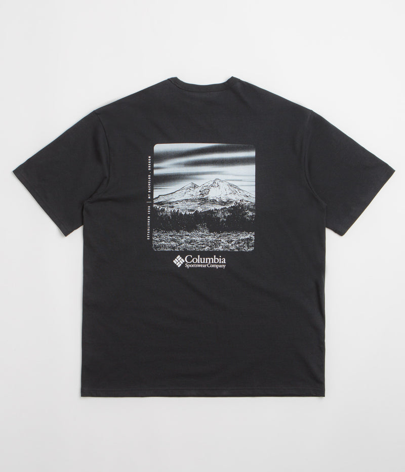 Columbia CSC Heavyweight Back Graphic T-Shirt in Black and Photoreal