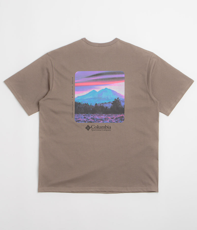 Columbia CSC Heavyweight Back Graphic T-Shirt in Iron and Photoreal CMYK