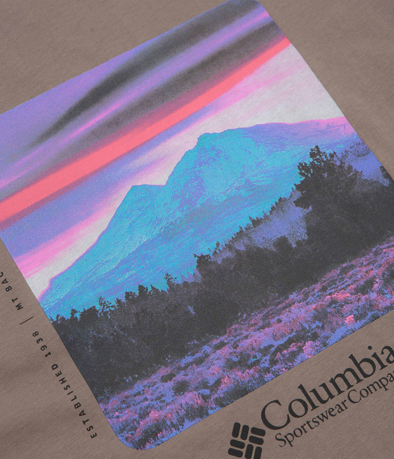 Columbia CSC Heavyweight Back Graphic T-Shirt in Iron and Photoreal CMYK