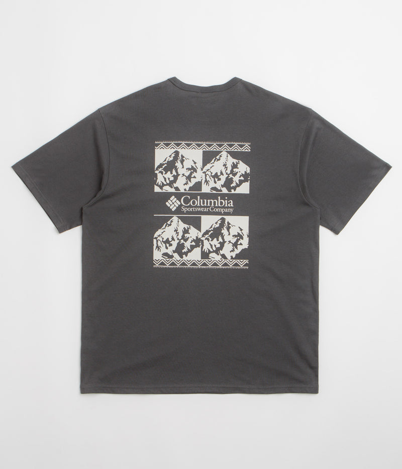 Columbia CSC Heavyweight Iconic T-Shirt in Shark and Repeated Peaks