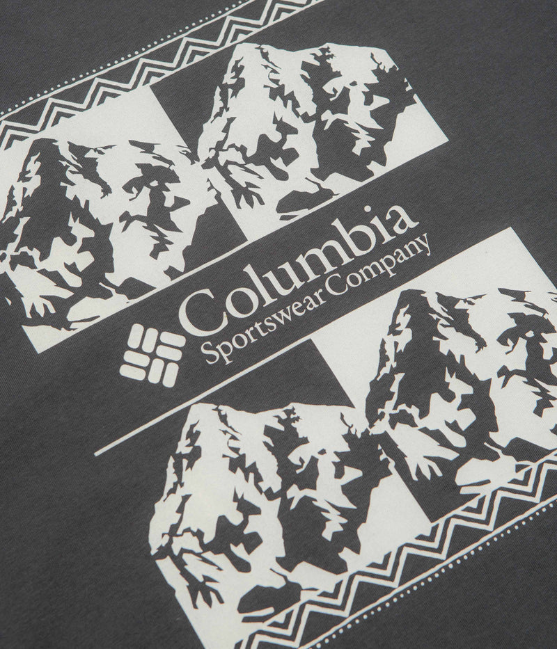 Columbia CSC Heavyweight Iconic T-Shirt in Shark and Repeated Peaks