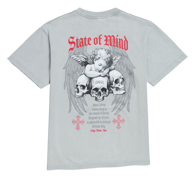 DGK Angelic Boxy T-Shirt - Vintage Silver