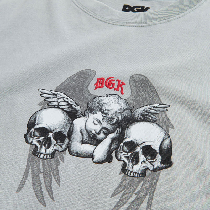 DGK Angelic Boxy T-Shirt - Vintage Silver