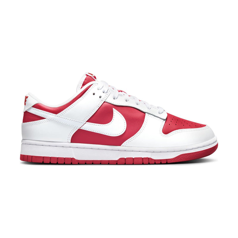 Dunk Low Retro Men's Shoes