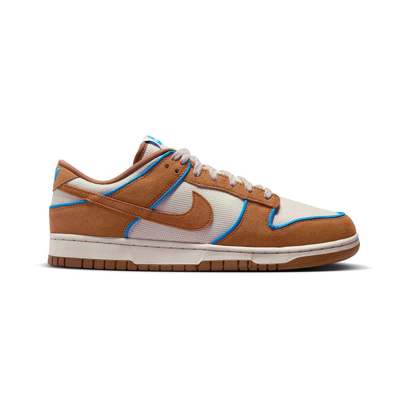 Dunk Low Retro Premium Men's Shoes