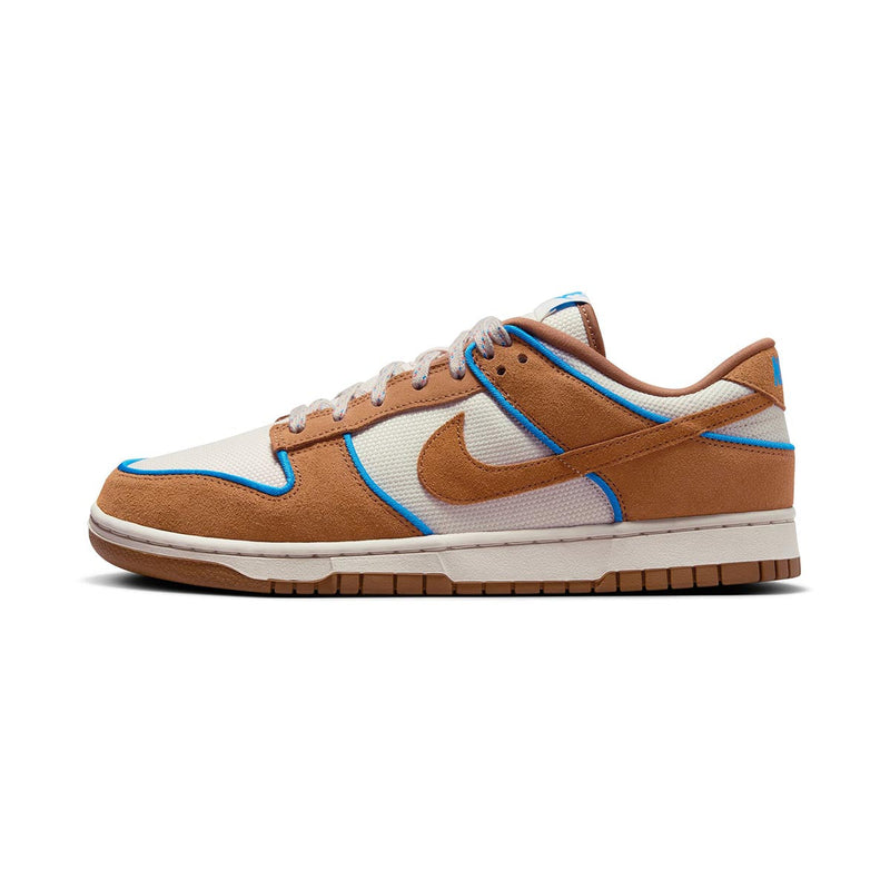 Dunk Low Retro Premium Men's Shoes