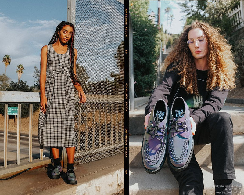 V9663 Midnight Chameleon Viva Mondo Creeper