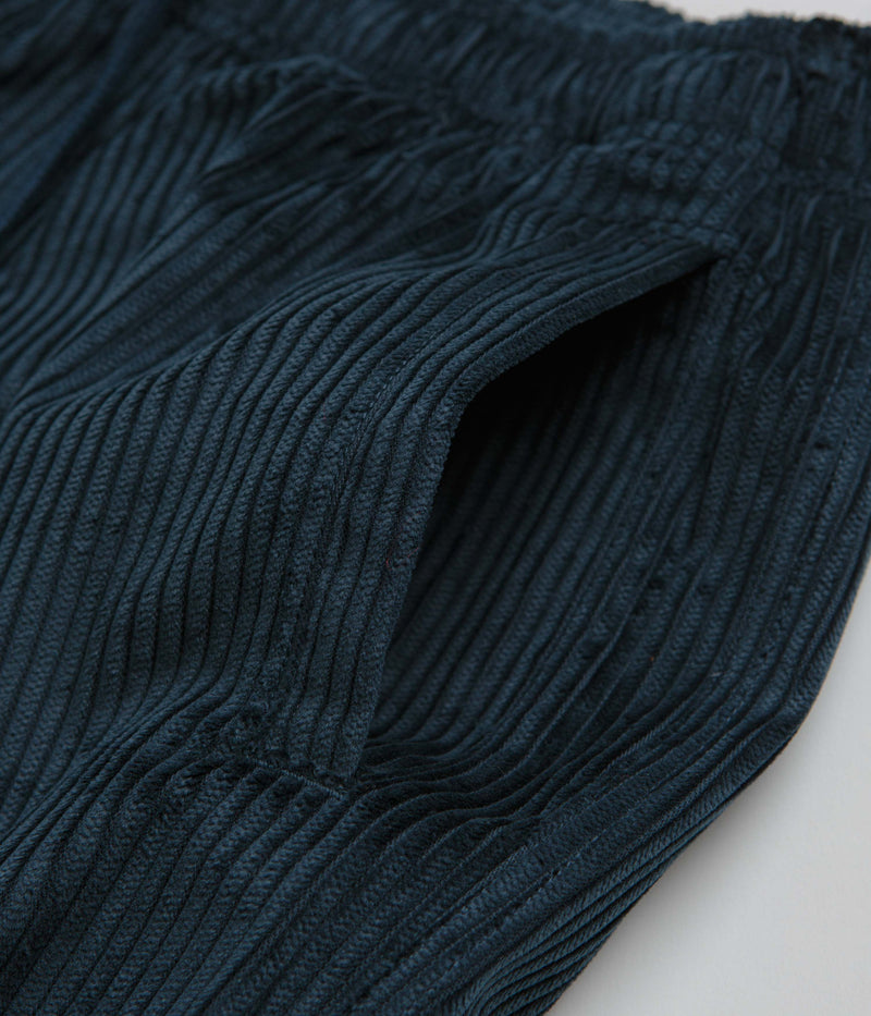Nike SB Cord Pants in Armory Navy and Team Red