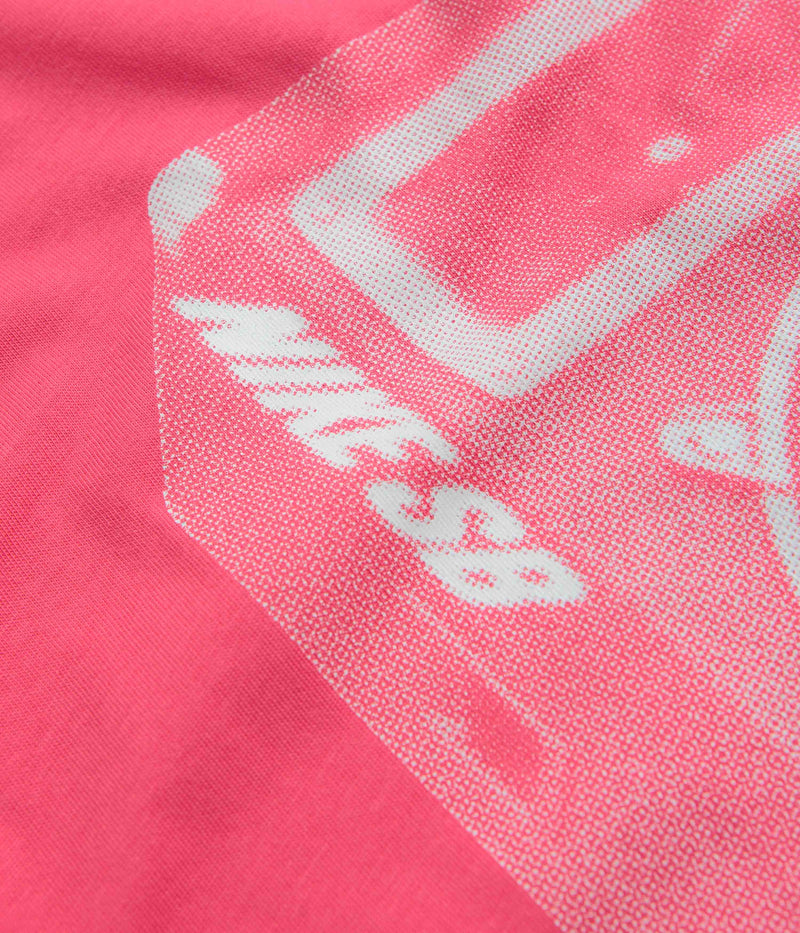 Nike SB Sounds Bangin T-Shirt in Aster Pink