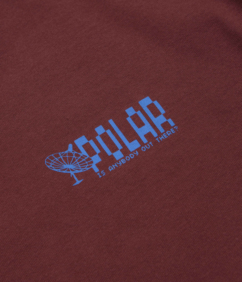 Polar Anyone Out There T-Shirt in Wine