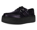 V3232 Purple Rub-Off Mondo Creeper