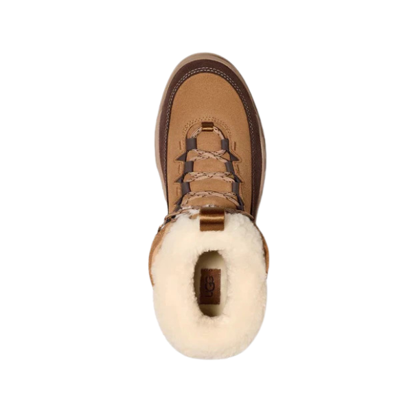Top view of the UGG Womens Terretrail Cozy Lace Chestnut boot, featuring tan waterproof suede, faux-fleece lining, brown laces, and a rugged winter-ready sole by UGG, isolated on a white background.