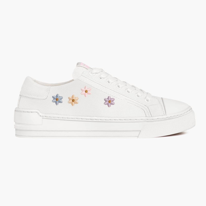 Women's Refresh | Daisy