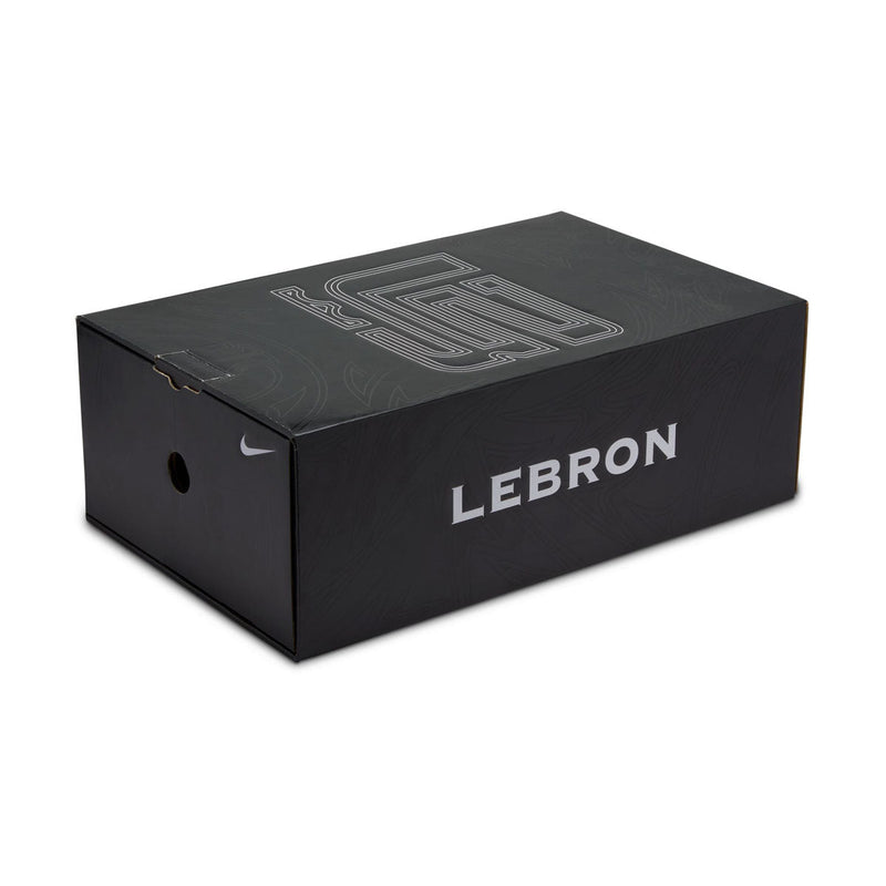 Zoom LeBron 2 LX Men's Shoes